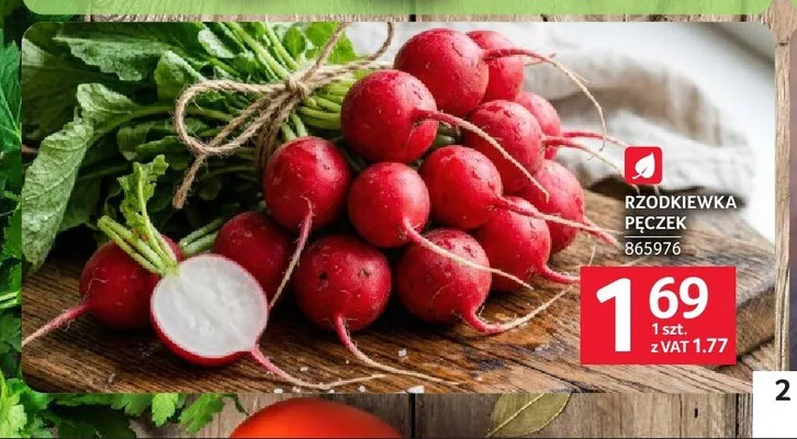 Rzodkiewka pęczek promocja w Selgros
