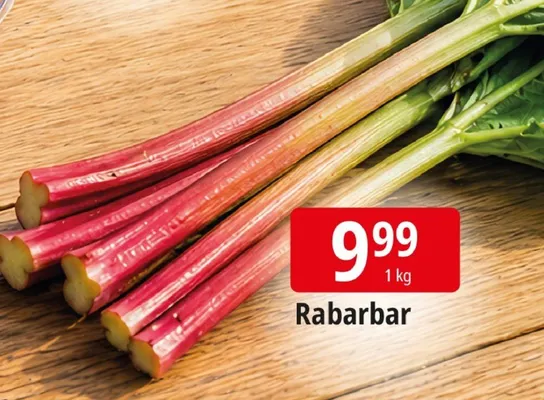 Rabarbar promocja w Leclerc