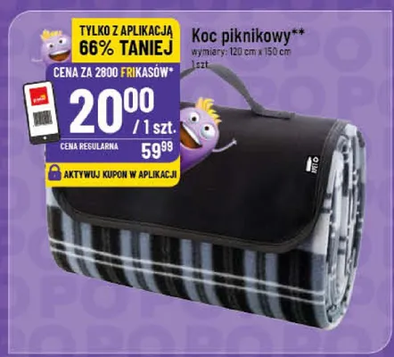 Koc piknikowy 120cm x 150cm promocja w POLOmarket