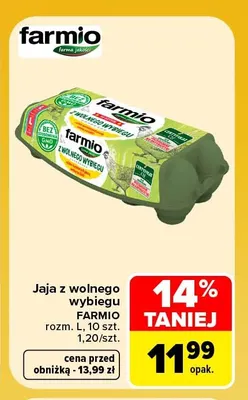 Jajka kurze z wolnego wybiegu Farmio rozm. L promocja w Carrefour Market