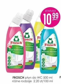 Płyn do WC Frosch promocja w Drogerie Jasmin