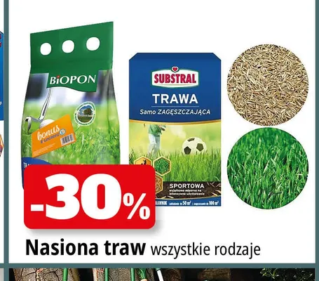 Nasiona traw promocja w Leclerc