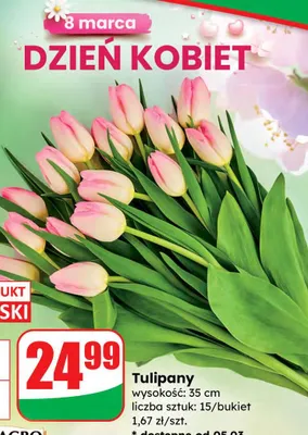 Bukiet tulipanów -15 szt., 35 cm promocja w Dino