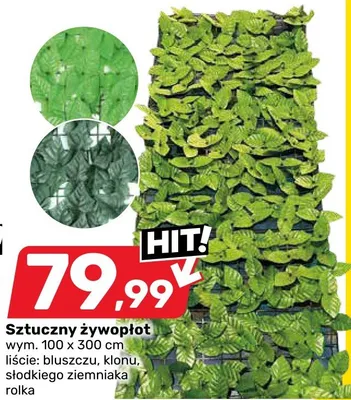 Sztuczny żywopłot bluszczu, klonu, słodkiego ziemniaka, roksa promocja w Bricomarche