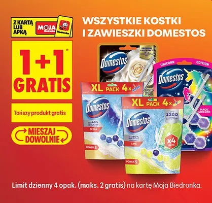 Kostki i zawieszki Domestos promocja w Biedronka