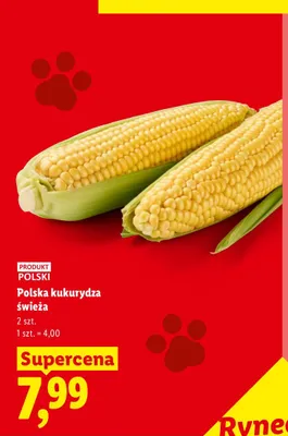 Kukurydza świeża polska promocja w Lidl