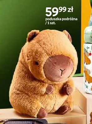 Poduszka podróżna Paperdot Cappy Classes promocja w Empik