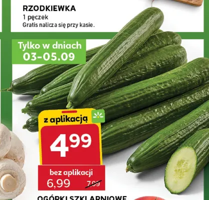 Ogórki szklarniowe promocja w Stokrotka