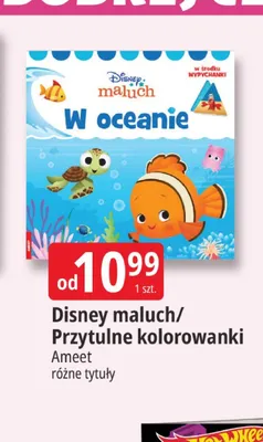 Przytulne kolorowanki Ameet promocja w Leclerc
