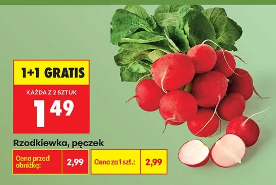 Rzodkiewka pęczek promocja w Biedronka