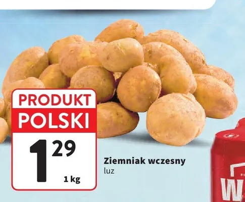 Ziemniak wczesny luz promocja w Intermarche