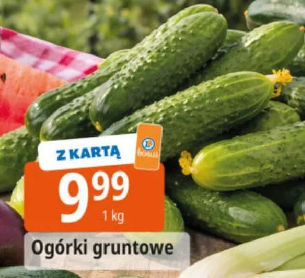 Ogórki gruntowe promocja w Leclerc