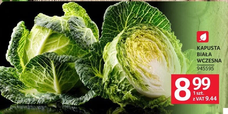 Kapusta biała wczesna promocja w Selgros