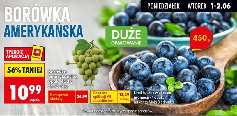 Borówka amerykańska promocja w Biedronka