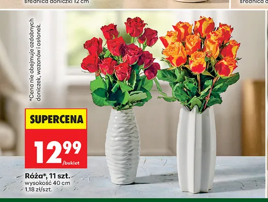 Róża 11-pak 40 cm promocja w Biedronka