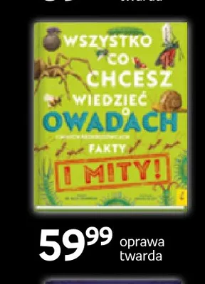 Książka Wszystko co chcesz wiedzieć o owadach Wilga promocja w Empik
