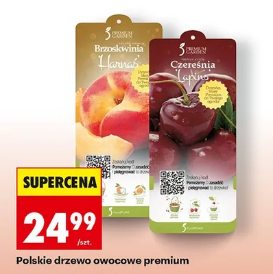 Drzewo owocowe polskie premium promocja w Biedronka