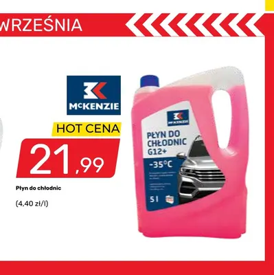 Płyn do chłodnic McKenzie promocja w Bricomarche