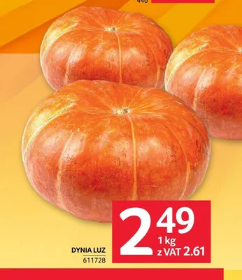 Dynia luzem promocja w Selgros