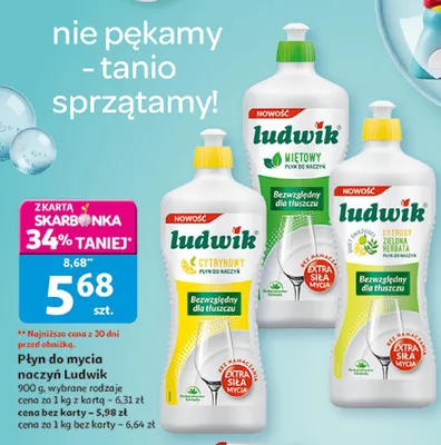 Płyn do mycia naczyń, wybrane rodzaje promocja w Auchan