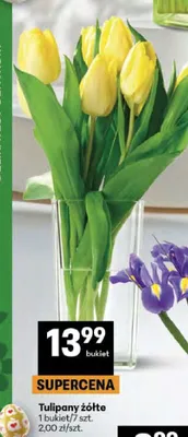 Tulipany żółte promocja w Delikatesy Centrum