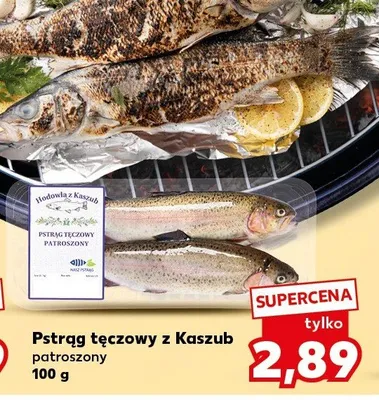 Pstrąg tęczowy z Kaszub patroszony promocja w Kaufland