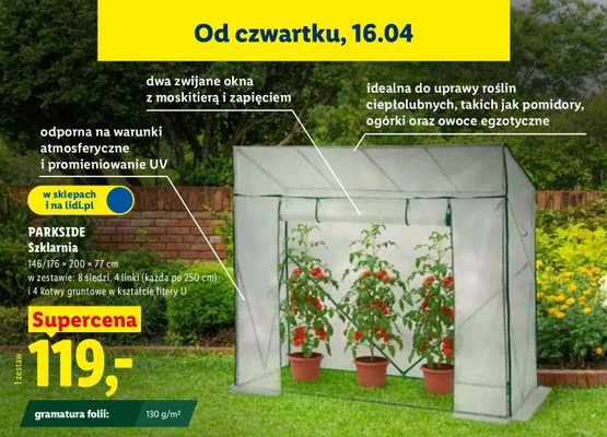 Szklarnia, 146/176 × 200 × 77 cm promocja w Lidl
