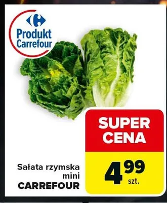 Sałata rzymska mini Carrefour promocja w Carrefour Express