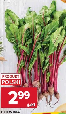 Botwina promocja w Stokrotka