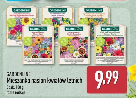 Mieszanka nasion kwiatów letnich promocja w Aldi