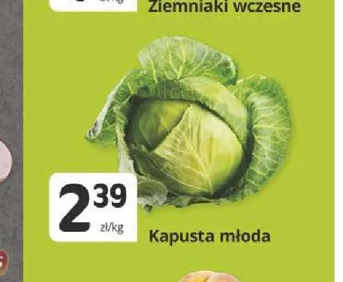 Kapusta młoda promocja w Marketvita