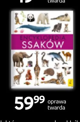 Książka Encyklopedia ssaków Wilga promocja w Empik