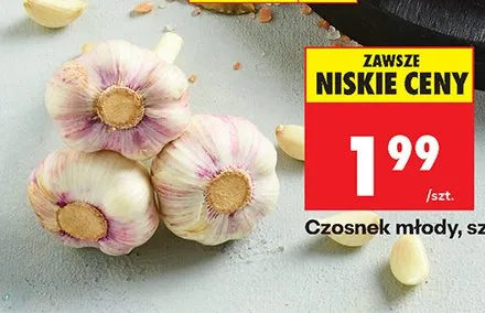 Czosnek młody promocja w Biedronka