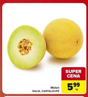 Melon Galia promocja w Carrefour Market