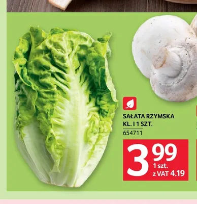 Sałata rzymska promocja w Selgros