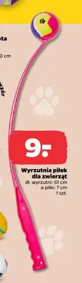 Wyrzutnia piłek dla zwierząt promocja w Netto