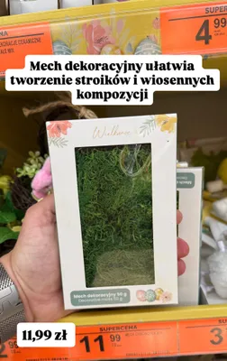 Mech dekoracyjny promocja w Biedronka