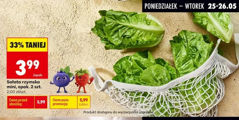 Sałata rzymska mini promocja w Biedronka