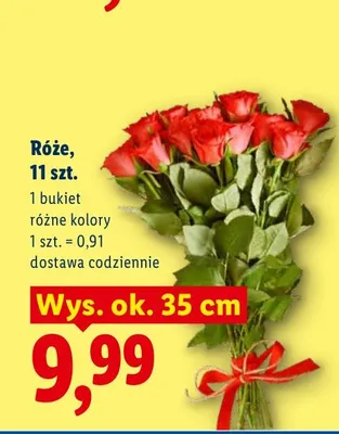 Róże 11-pak promocja w Lidl