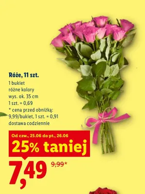 Róże 11-pak promocja w Lidl