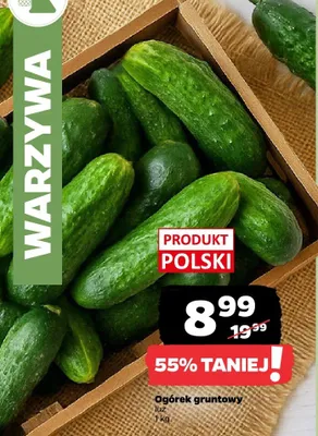 Ogórek gruntowy luz promocja w Netto