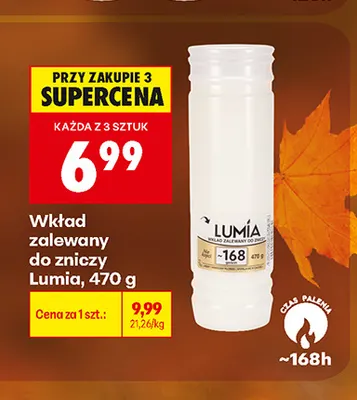 Wkład zalewany do zniczy Lumia promocja w Biedronka