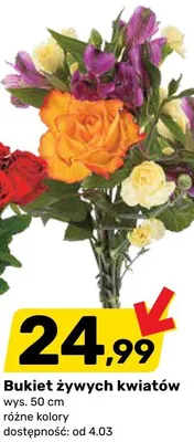 Bukiet żywych kwiatów promocja w Bricomarche