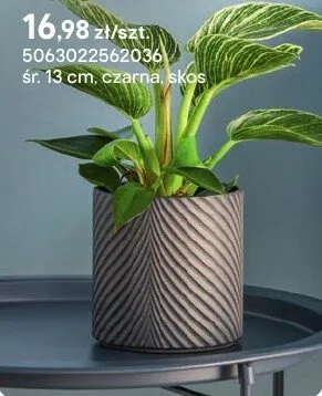 Donica Verve czarna, skos promocja w Castorama