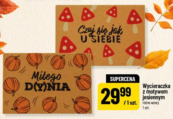 Wycieraczka z motywem jesiennym promocja w POLOmarket