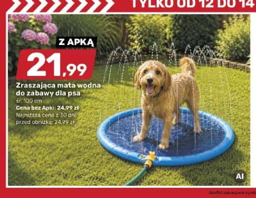 Zraszająca mata wodna do zabawy dla psa promocja w Bricomarche