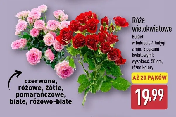 Róże wielokwiatowe Bukiet w bukiecie 4 rodzaj z mix 5 pakami kwiatowymi Aldi promocja w Aldi