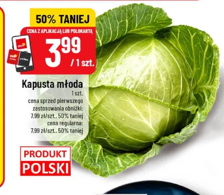 Kapusta młoda promocja w POLOmarket