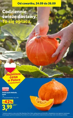 Dynia Hokkaido luzem promocja w Lidl