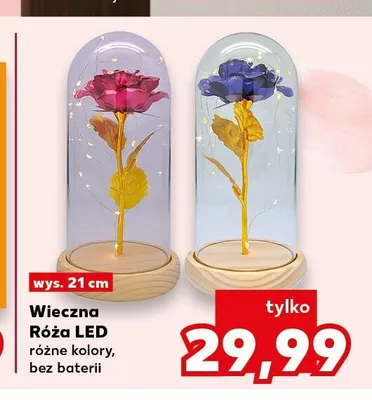 Wieczna Róża LED wys. 21cm promocja w Kaufland